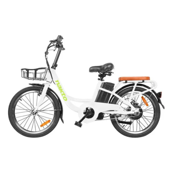 Electric Bike