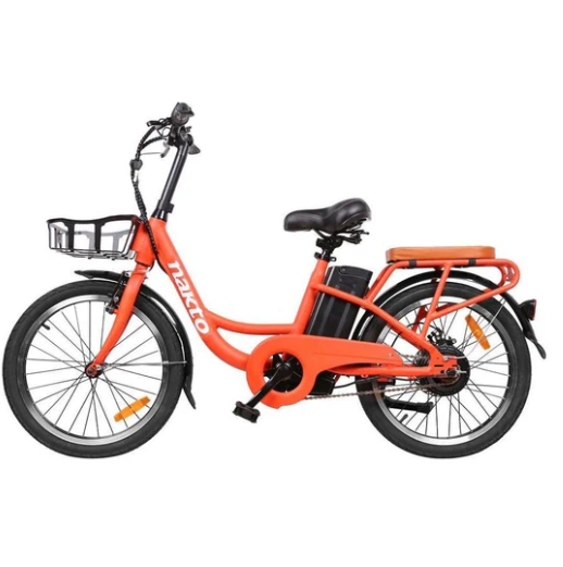 Electric Bike