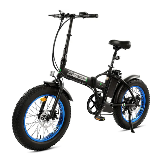 Electric Bike