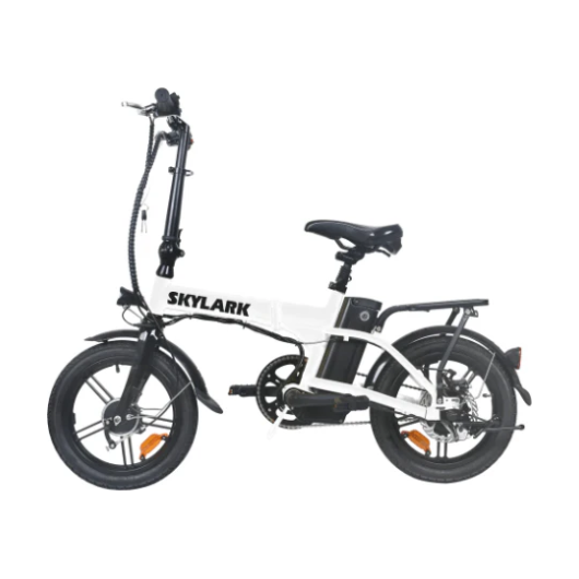 Folding Bike