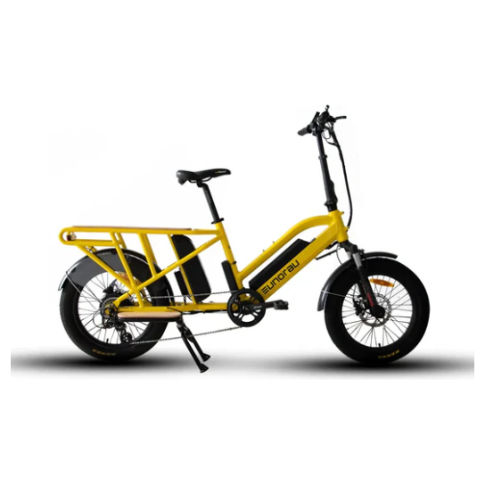 CARGO E-BIKE